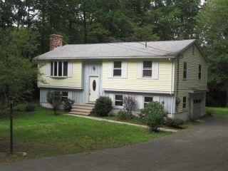 Foreclosed Home - 13 FOREST RD, 01007