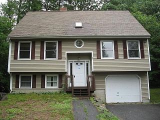 Foreclosed Home - 51 HOWARD HILL RD, 03452