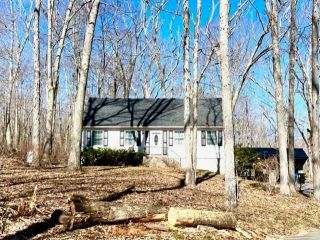 Foreclosed Home - 38 COSTELLO RD, 06234