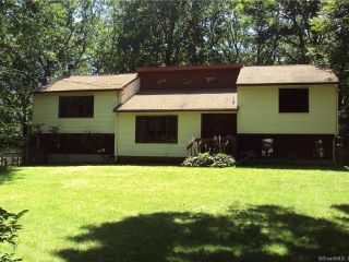 Foreclosed Home - 35 COSGROVE RD, 06279