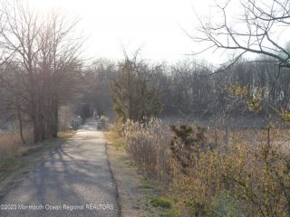 Foreclosed Home - List 100665059