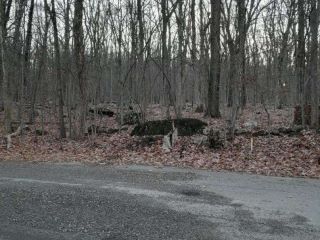 Foreclosed Home - List 101131416