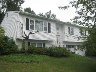 Foreclosed Home - 2 BOYD RD, 10950