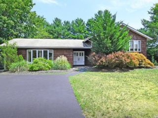Foreclosed Home - 22 DIANE LN, 11731