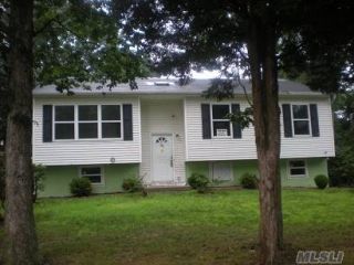 Foreclosed Home - 91 SMITH LN, 11763
