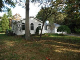 Foreclosed Home - 17 MARY ST, 11764