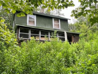 Foreclosed Home - 103 KAPITKO ROAD SPUR, 12455