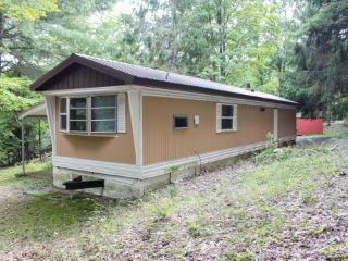 Foreclosed Home - 264 TANGLEWOOD RD, 12469