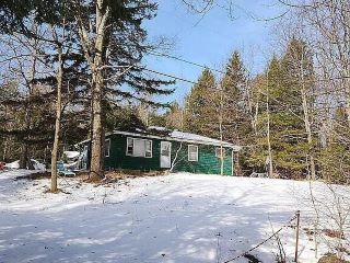 Foreclosed Home - 117 TETER RD, 12469