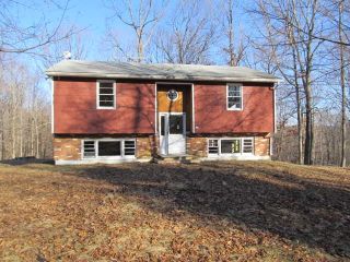 Foreclosed Home - 42 BUCKY RD, 12529