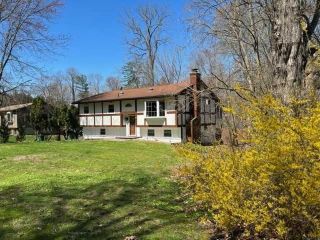 Foreclosed Home - 49 ROOSEVELT RD, 12538