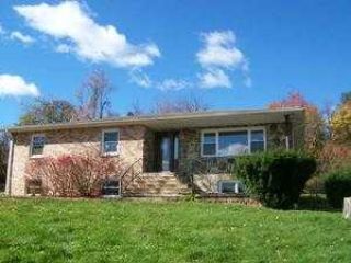 Foreclosed Home - 391 CARTER AVE, 12550