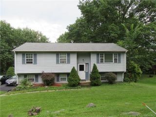 Foreclosed Home - 4 BIRCHWOOD DR, 12553