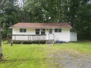 Foreclosed Home - 64 BRUYNSWICK RD, 12561
