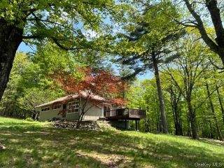 Foreclosed Home - 336 UPPER MOUNTAIN RD, 12566