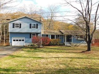 Foreclosed Home - 128 NEAR RD, 12571