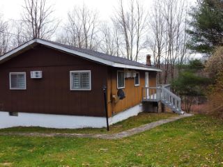 Foreclosed Home - 31 FISHER RD, 12726