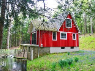 Foreclosed Home - 488 BLACK FOREST RD, 12737