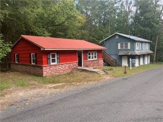 Foreclosed Home - 244 PEPACTON HOLLOW RD, 12740