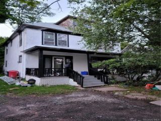 Foreclosed Home - 133 CHESTNUT ST, 12754