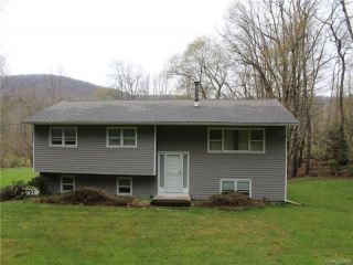 Foreclosed Home - 191 COOKS BROOK RD, 12776