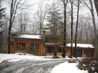 Foreclosed Home - 13 SKUNK HOLLOW RD, 12779