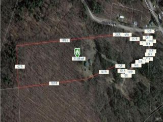Foreclosed Home - 1294 LONG RD, 13077