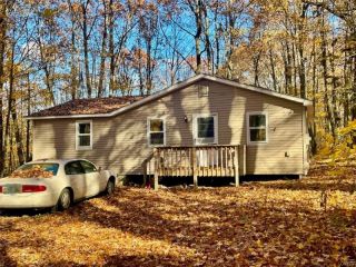 Foreclosed Home - 23 WHITE BIRCHES DR, 13145