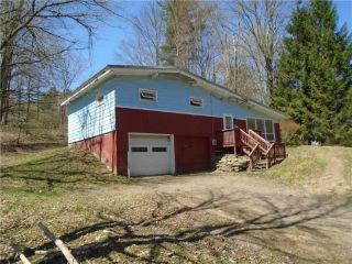 Foreclosed Home - 103 SPRING ST, 13730