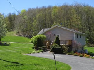 Foreclosed Home - 2224 S APALACHIN RD, 13732
