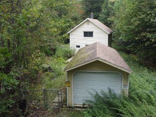 Foreclosed Home - 322 PEAS EDDY RD, 13783
