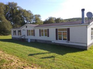 Foreclosed Home - 348 Merrill Creek Rd, 13803