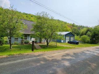 Foreclosed Home - 180 ROBINSON HOLLOW RD, 13835