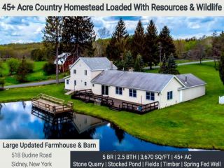 Foreclosed Home - 518 BUDINE RD, 13839