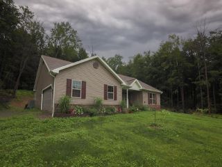Foreclosed Home - 1884 BUCKWHEAT HOLLOW RD, 16929