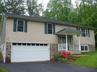 Foreclosed Home - 53 FRUITWOOD TRL, 17320