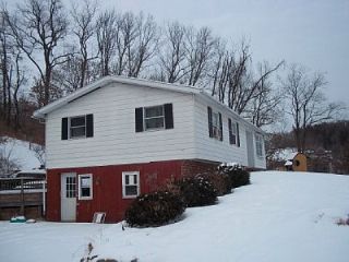 Foreclosed Home - 1079 MAPLE SPRING RD, 17744