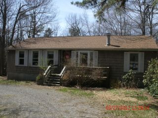 Foreclosed Home - 104 PORTER DR, 18229