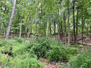Foreclosed Home - 158 RUFFED GROUSE RD, 18324