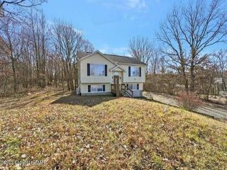 Foreclosed Home - 215 WILLIAMS LN, 18360