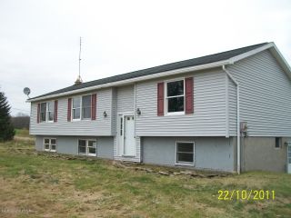 Foreclosed Home - 20 HORSESHOE DR, 18431