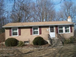 Foreclosed Home - 163 STONEY LONESOME RD, 18445
