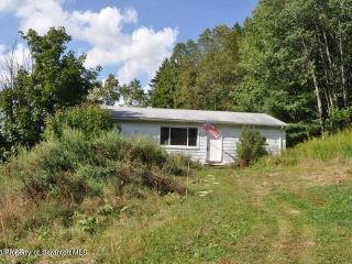 Foreclosed Home - 232 STARRUCCA CREEK RD, 18462