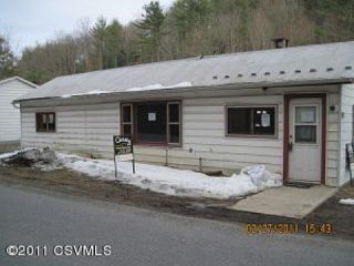 Foreclosed Home - 68 DOHL RD, 18603