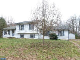 Foreclosed Home - 334 MEADOW VISTA DR, 19734
