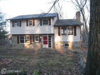 Foreclosed Home - 953 PINE GROVE RD, 20135