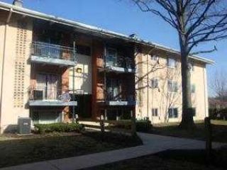 Foreclosed Home - 11318 CHERRY HILL RD UNIT 104, 20705