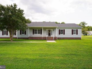Foreclosed Home - 27147 ORIOLE RD, 21853