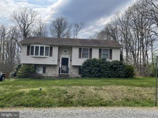 Foreclosed Home - 102 MILHOLLAN DR, 21921