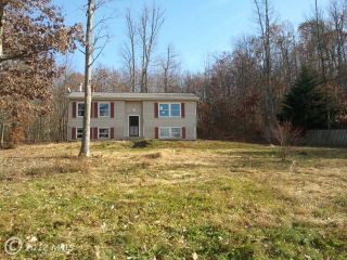 Foreclosed Home - 100 MOUNTAIN LAKE DR, 22630